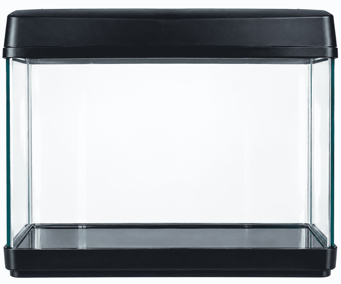 Aquarium / Fish Tank